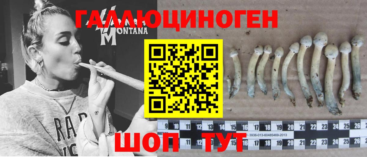 Жуковский  Галлюциногенные грибы Cubensis  Вход с VPN 